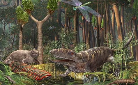 carboniferous period animals and plants